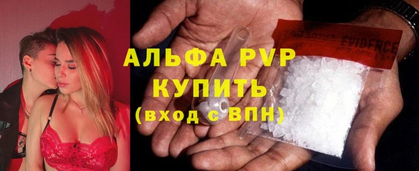 apvp Алзамай