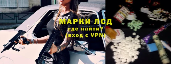 apvp Алзамай